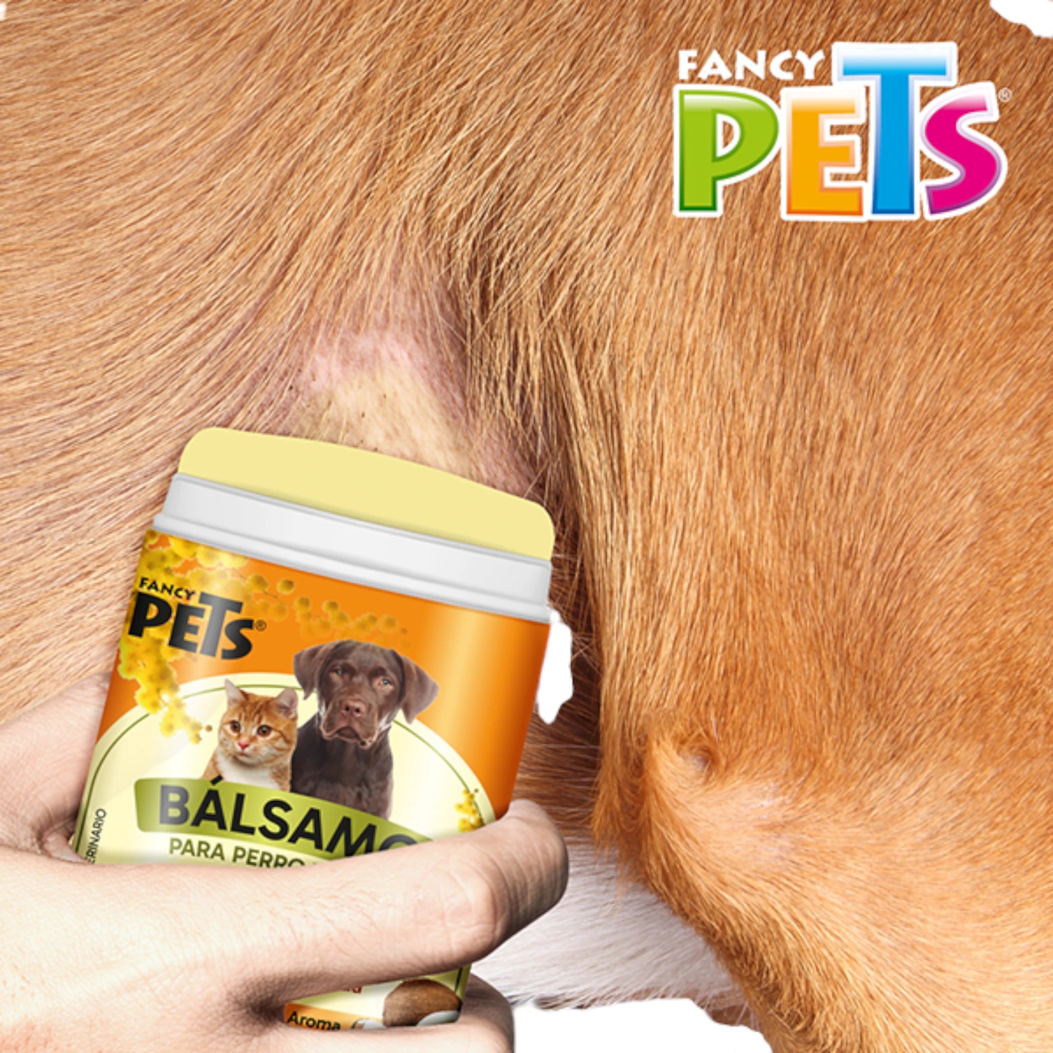 Bálsamo humectante con tepezcohuite Aplicación de bálsamo con tepezcohuite en zona irritada de perro, ideal para piel agrietada y reseca.