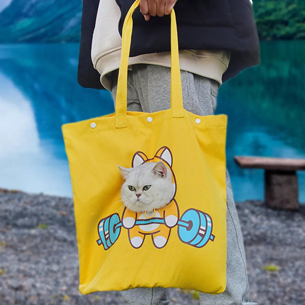 Bolsa transportadora Bolsa transportadora