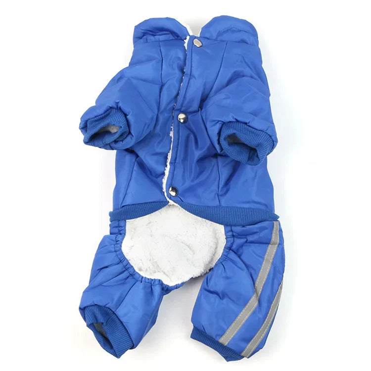 Traje completo tipo pans Traje completo tipo pans