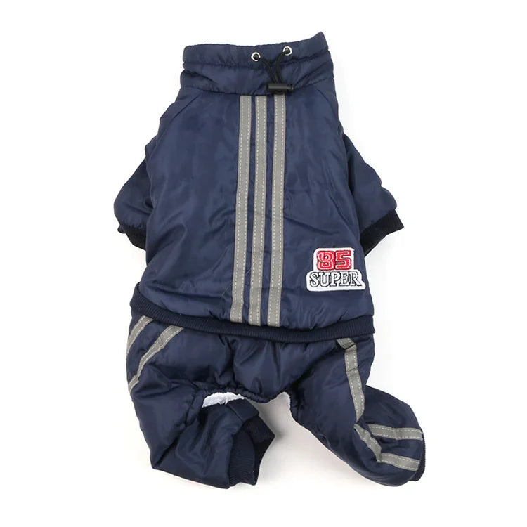 Traje completo tipo pans Traje completo tipo pans