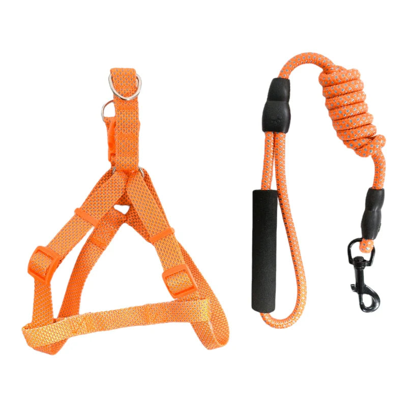 Arnés con correa de piola Arnés con correa de piola