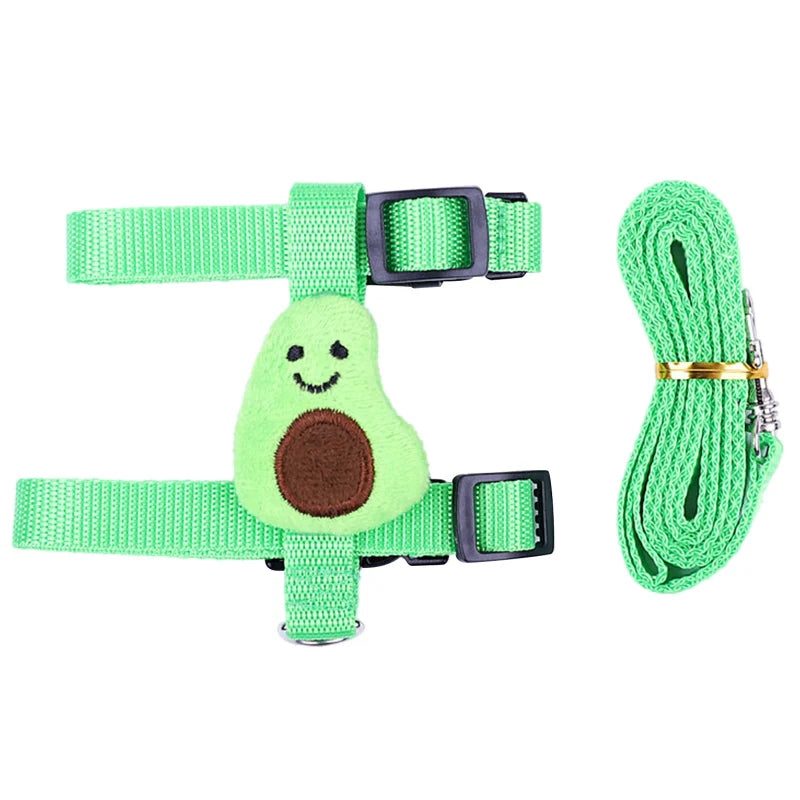 Arnés  con correa Arnés  con correa