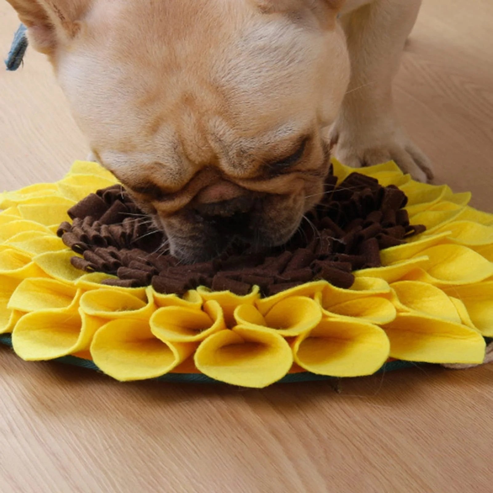 Tapete olfativo de girasol Tapete olfativo de girasol