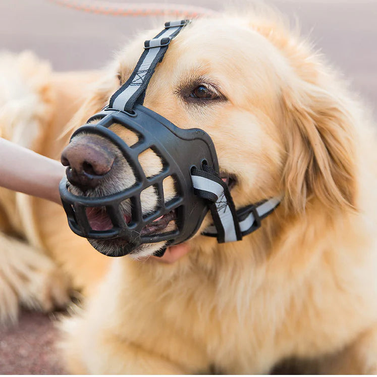 Bozal tipo canastilla para perro Bozal tipo canastilla para perro
