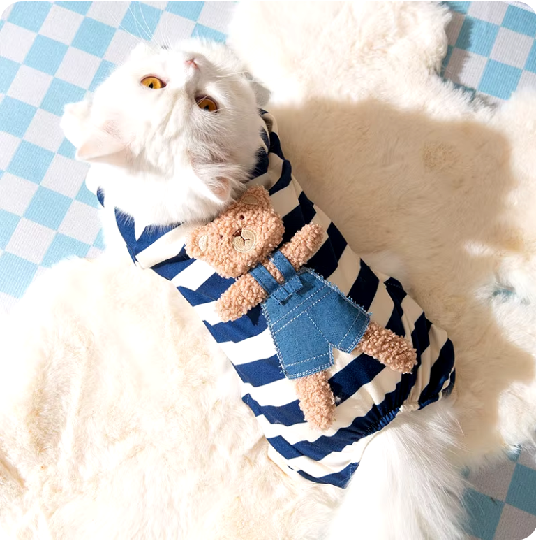 Playera a rayas, traje completo Playera a rayas, traje completo