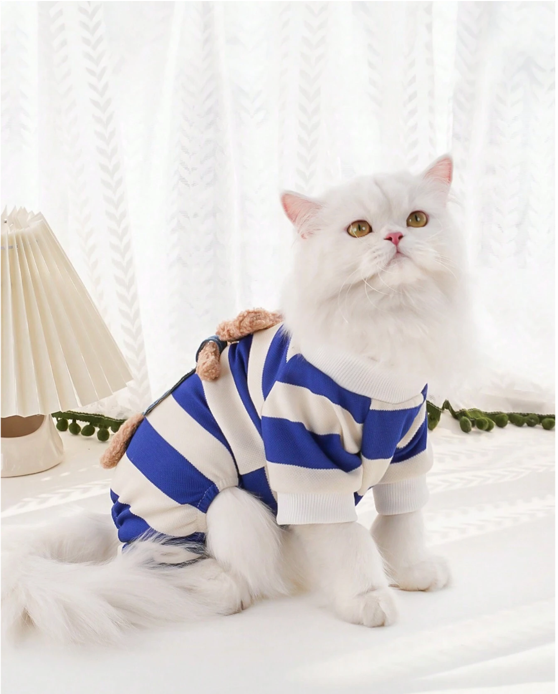 Playera a rayas, traje completo Playera a rayas, traje completo