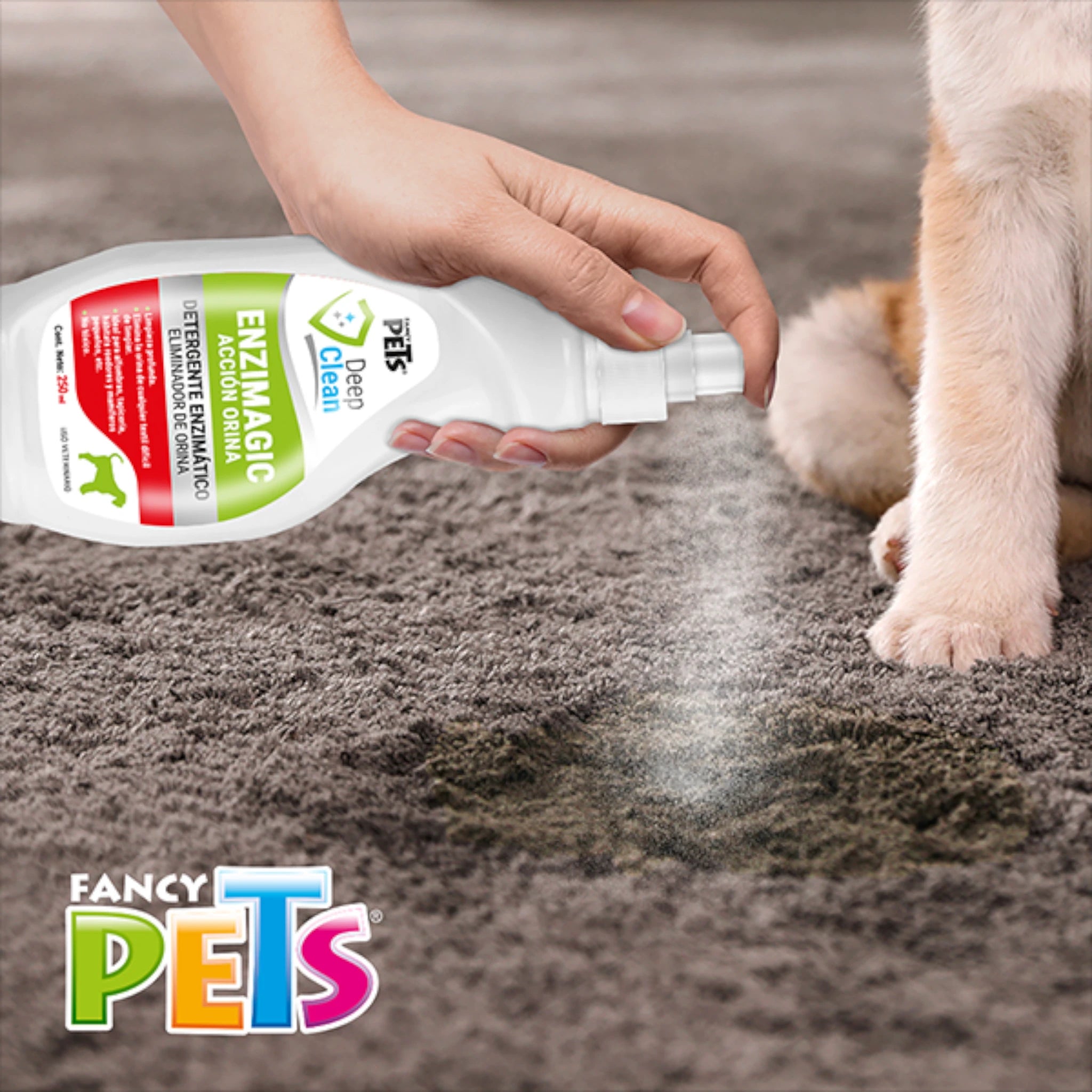 Enzimagic eliminador de orina Persona aplicando Enzimagic Eliminador de Orina para perros sobre una alfombra manchada, junto a un cachorro