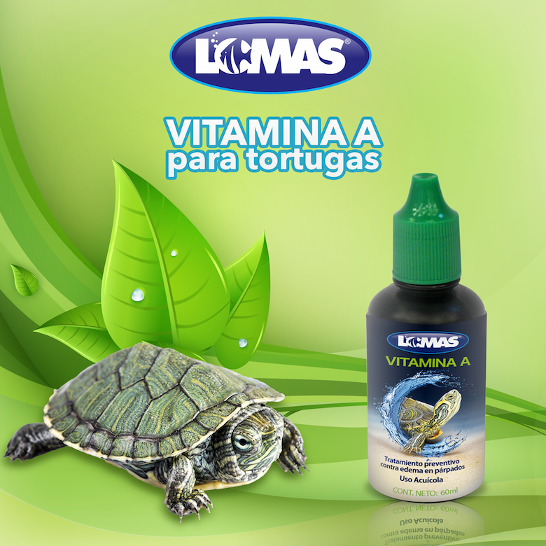 Vitamina A para tortugas Vitamina A para tortugas