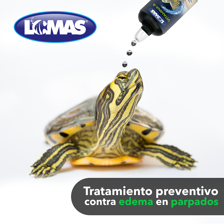 Vitamina A para tortugas Vitamina A para tortugas