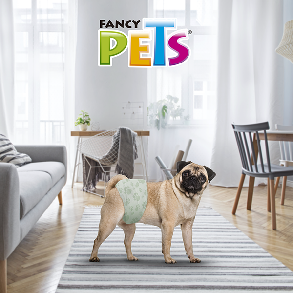 Pañales para perros Machos Pañales para perros Machos