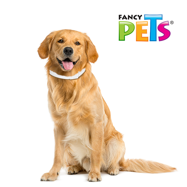 Collar antipulgas para perros Collar antipulgas para perros