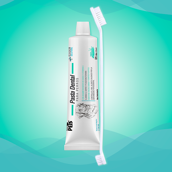 Kit dental antisarro Kit dental antisarro