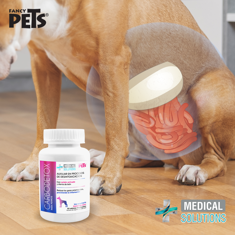 Carbodetox tabletas masticables Carbodetox tabletas masticables