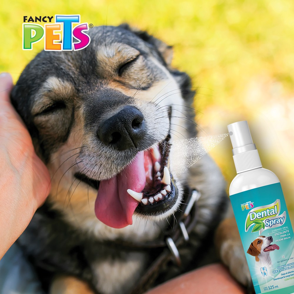 Spray Dental Ultra Spray Dental Ultra