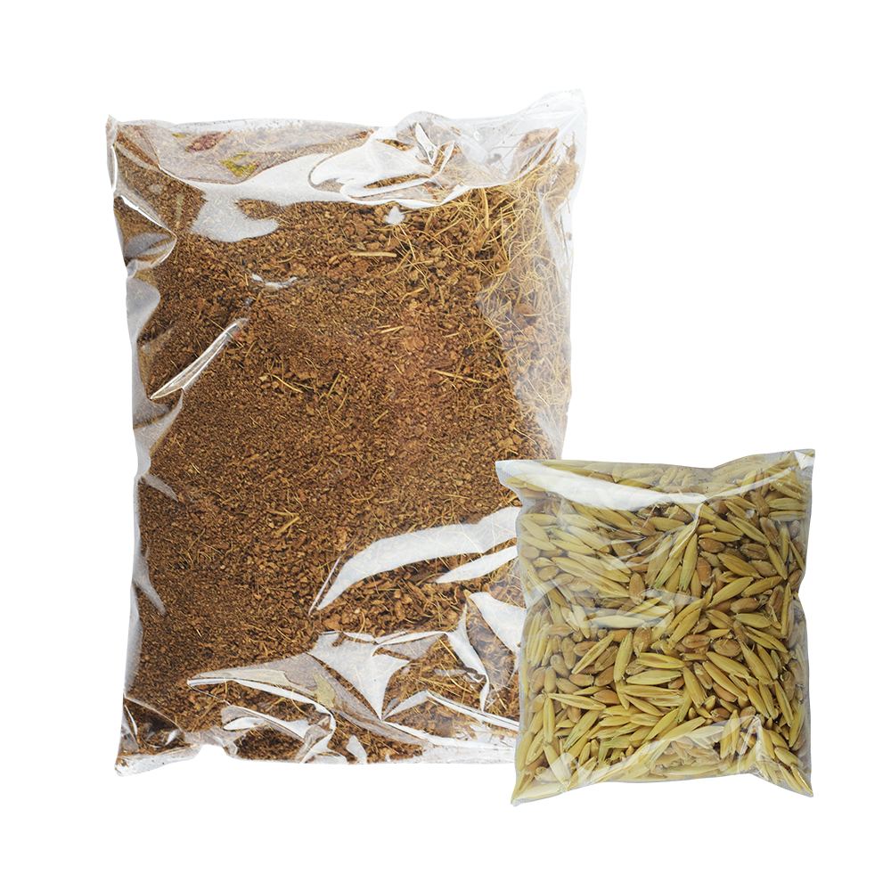 Pasto para gatos Pasto para gatos