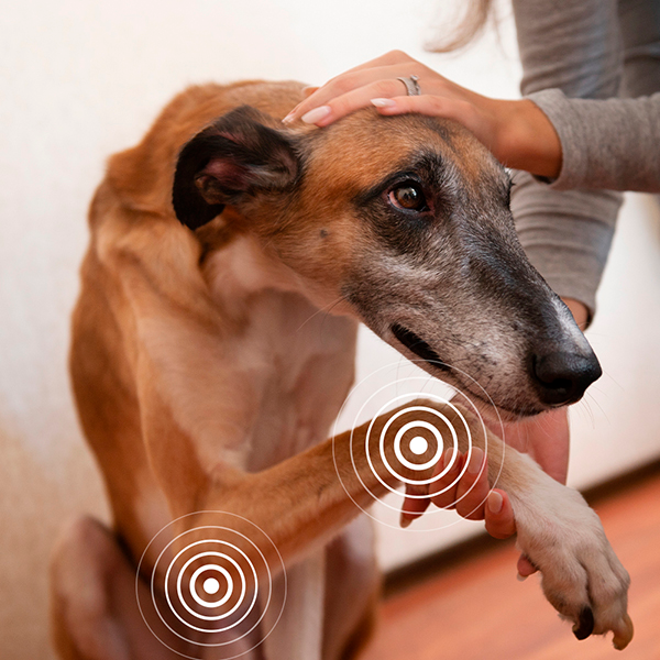 Complete Mobility Complete Mobility