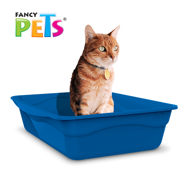 Arenero para Gato Fancy pets Arenero para Gato Fancy pets
