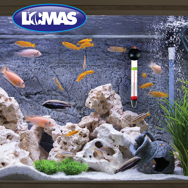 Termómetro flotante con chupón Termómetro flotante con chupón