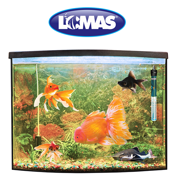 ThermoJet Calentador con termostato ThermoJet Calentador con termostato