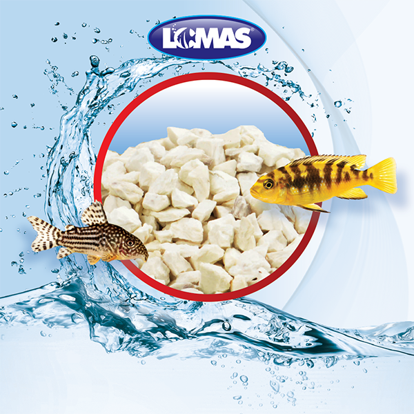 Zeolita para acuarios Zeolita para acuarios