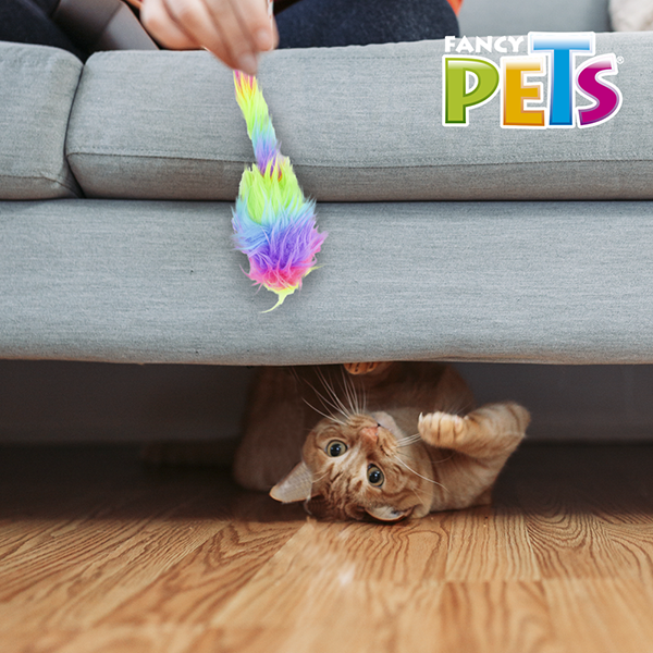 Juguete Ratón arcoiris catch Juguete Ratón arcoiris catch