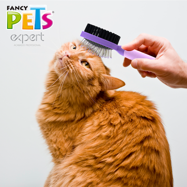 Cepillo doble para gatos Cepillo doble para gatos