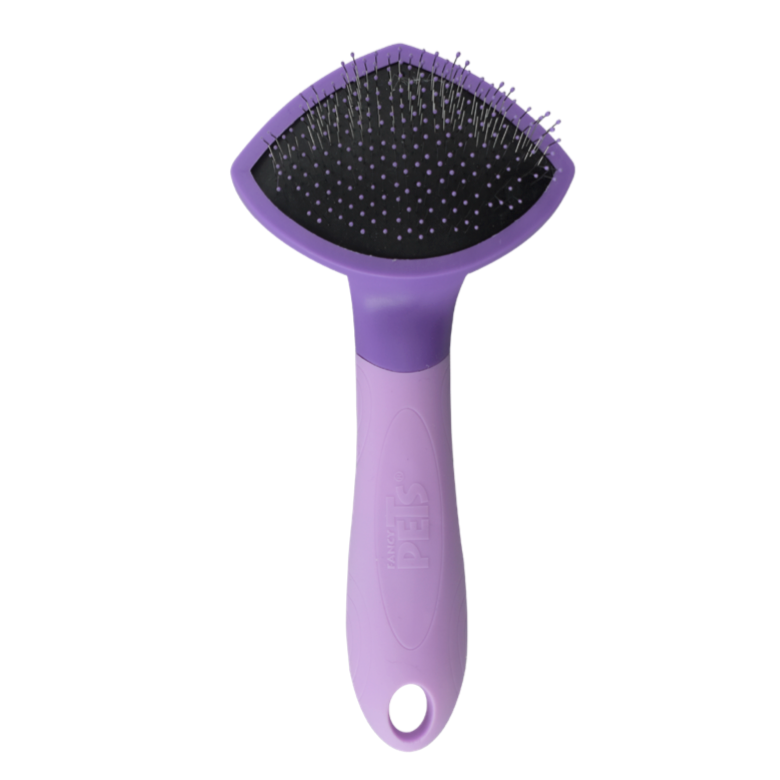 Carda para gato Carda para gato