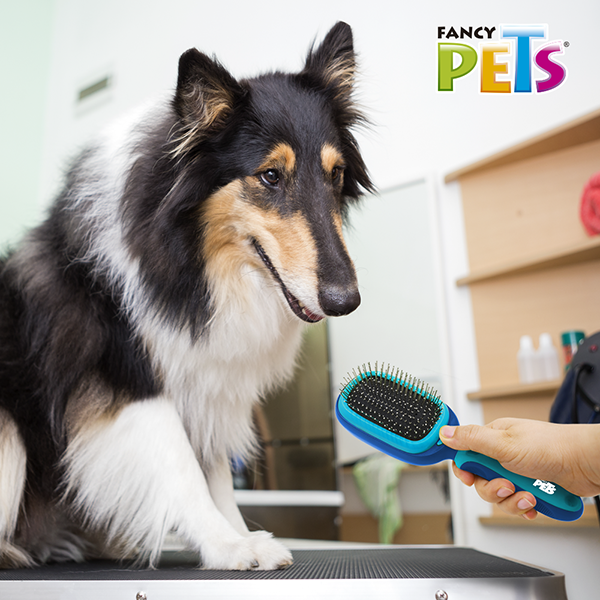 Cepillo Multifuncional 5 en 1 Cepillo Multifuncional 5 en 1