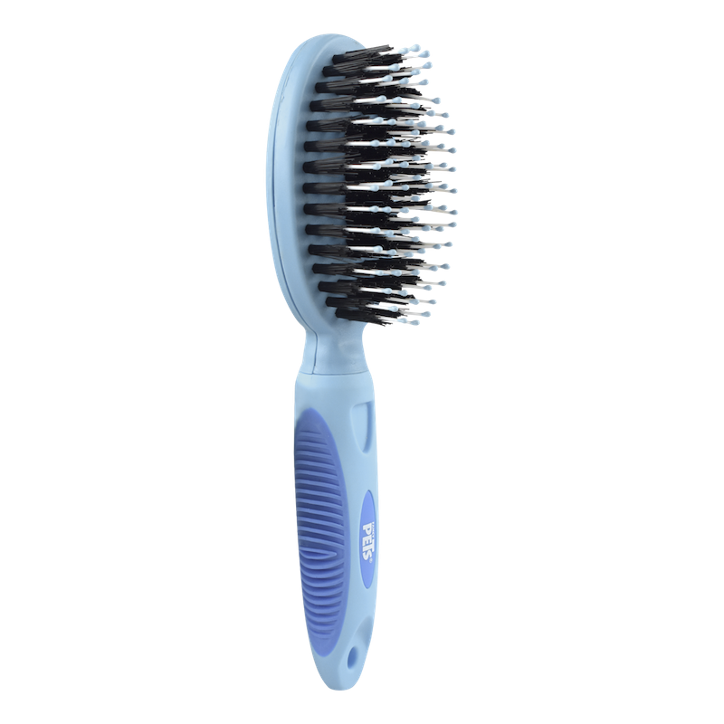 Cepillo Puerco Espín Cepillo Puerco Espín