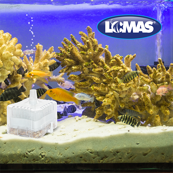 Filtro interno de caja AquaJet 25 Filtro interno de caja AquaJet 25