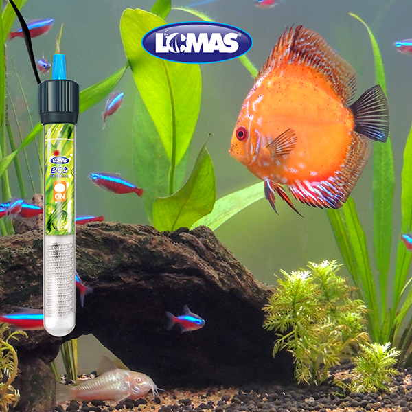 EcoThermal Calentador sumergible con termostato EcoThermal Calentador sumergible con termostato