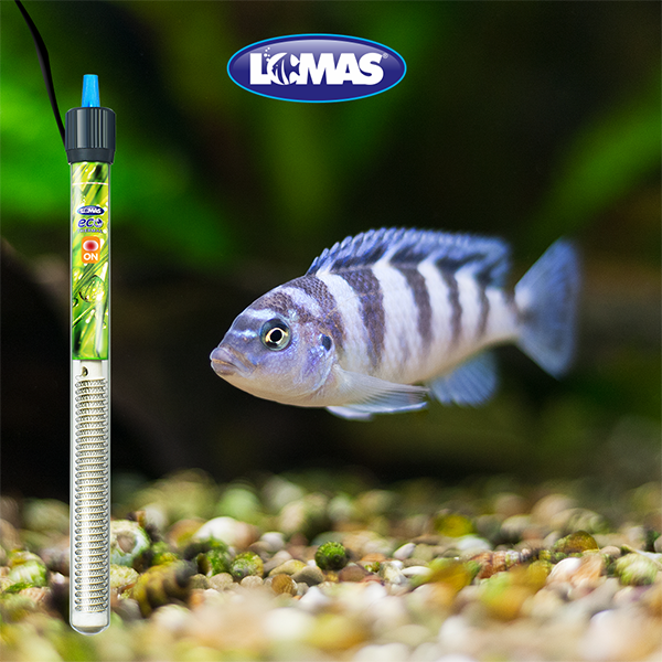 EcoThermal Calentador sumergible con termostato EcoThermal Calentador sumergible con termostato