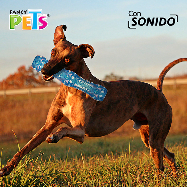 Vara Flexible con sonido Vara Flexible con sonido