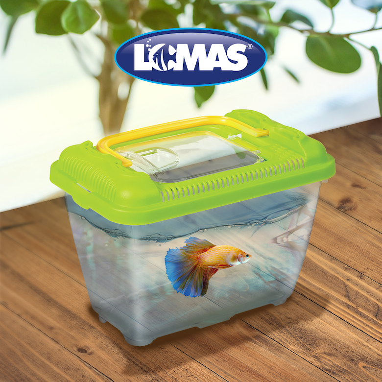 Mascotera para pequeñas especies Mascotera para pequeñas especies