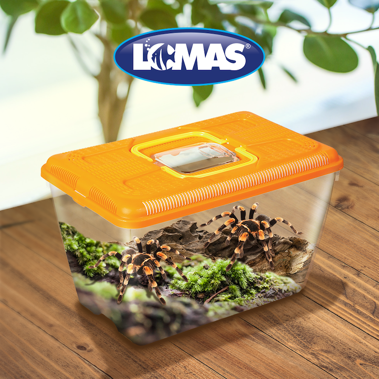 Mascotera para pequeñas especies Mascotera para pequeñas especies