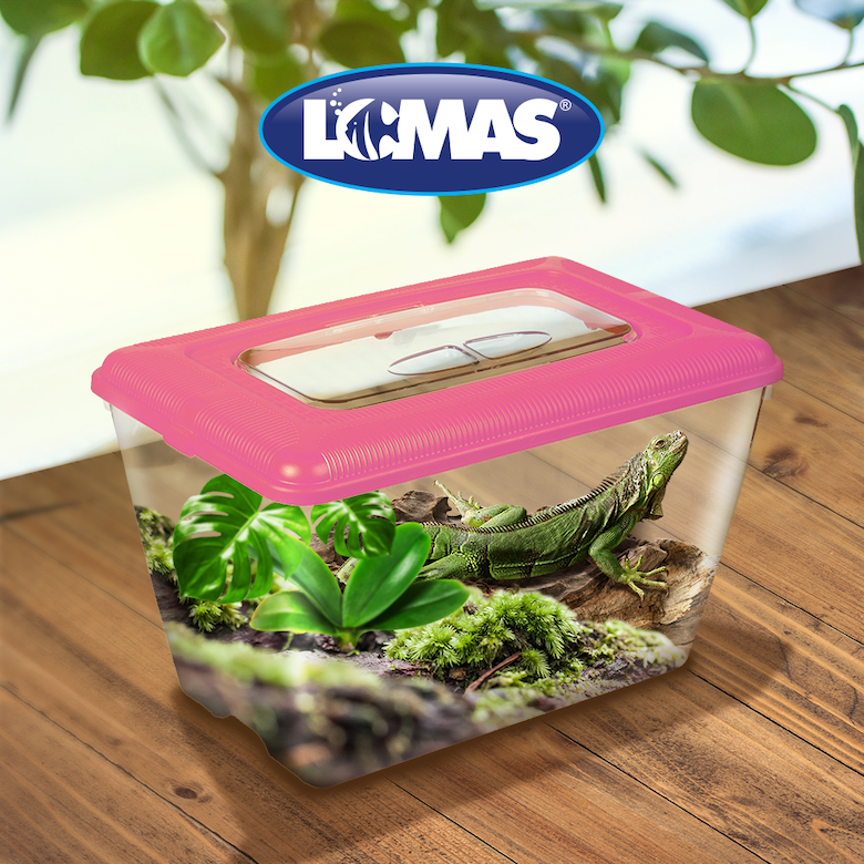 Mascotera para pequeñas especies Mascotera para pequeñas especies