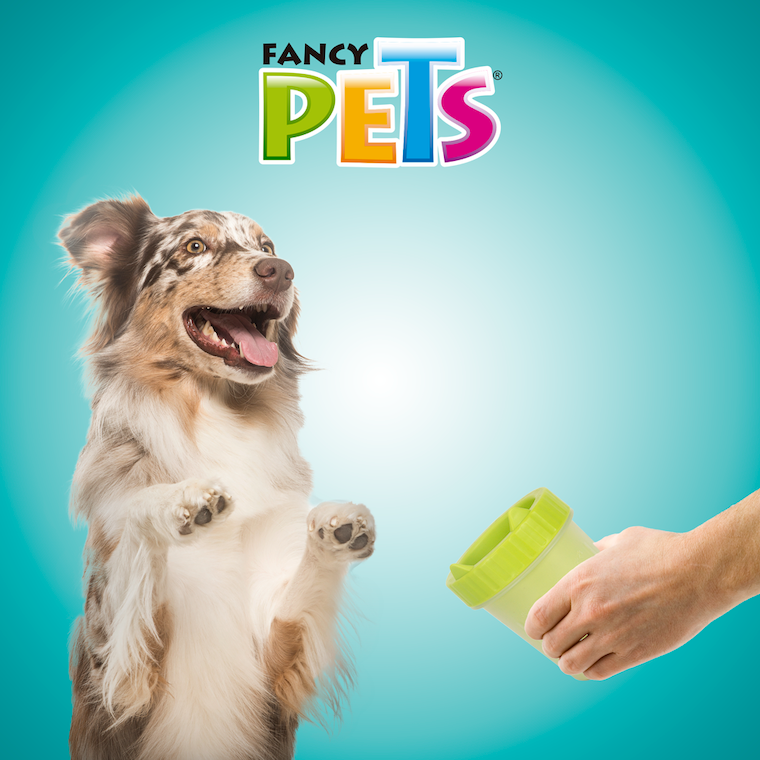 Limpiador de Patas Limpiador de Patas