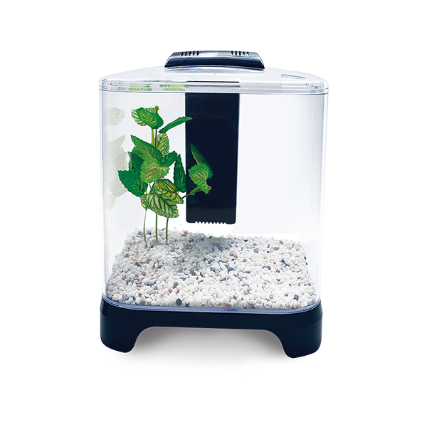 Acuario Mini 6 Litros Acuario Mini 6 Litros
