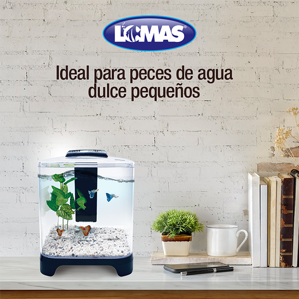 Acuario Mini 6 Litros Acuario Mini 6 Litros