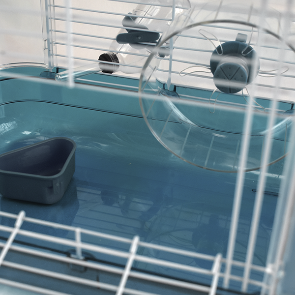 Hábitat explorer para hamster II Hábitat explorer para hamster II