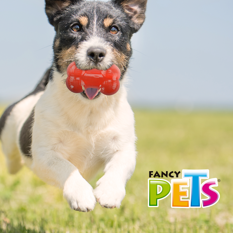 Juguete para Perro Xtreme Juguete para Perro Xtreme