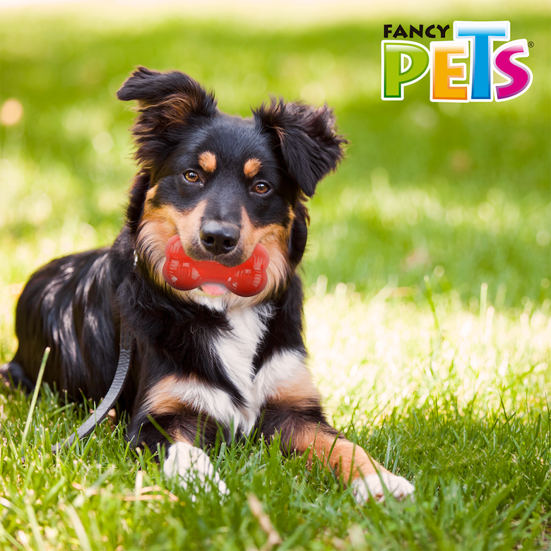 Juguete para Perro Xtreme Juguete para Perro Xtreme