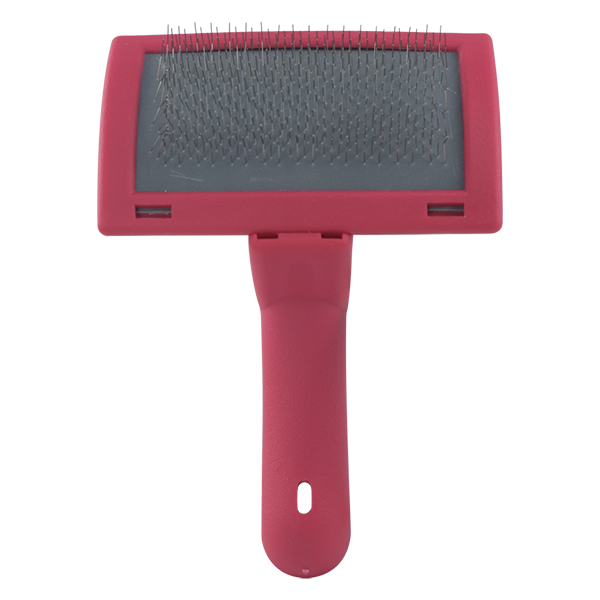 Carda Roja Carda Roja