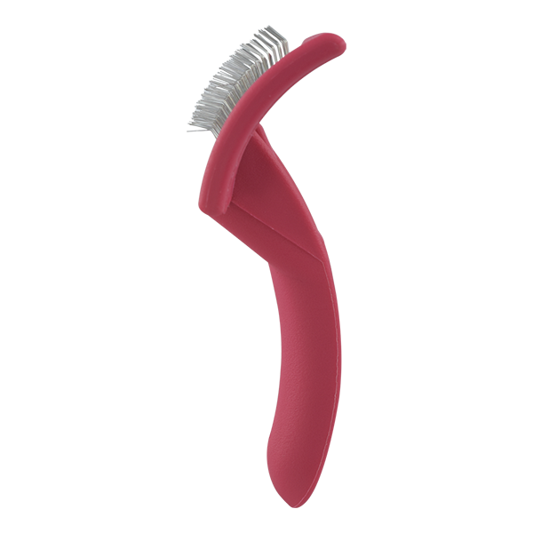 Carda Roja Carda Roja