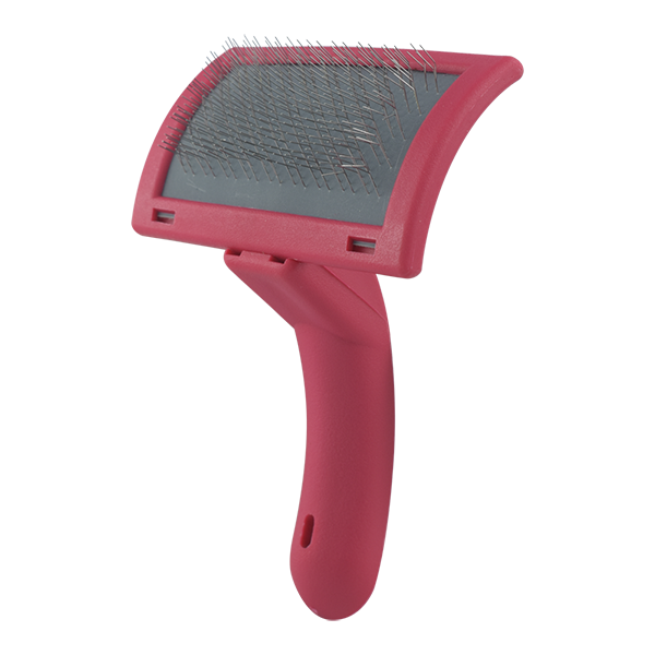 Carda Roja Carda Roja