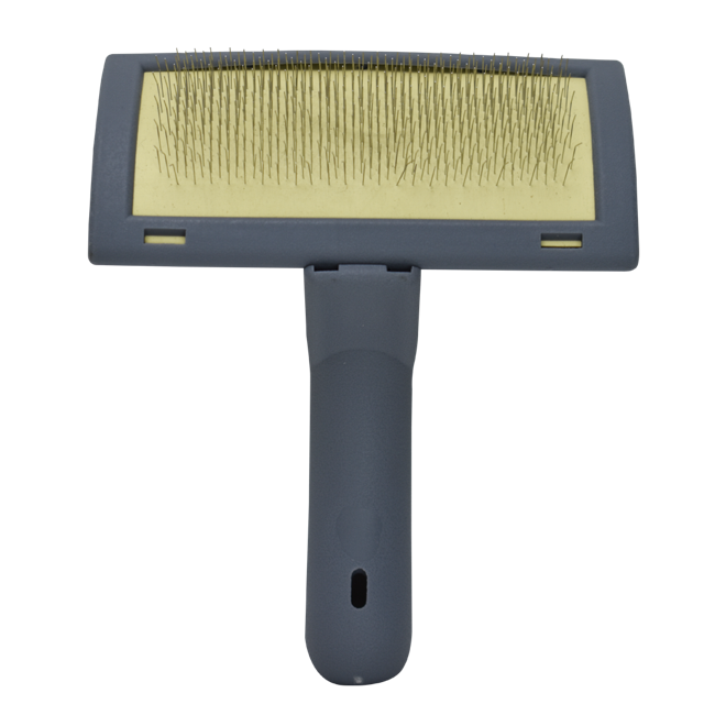 Carda gris Carda gris