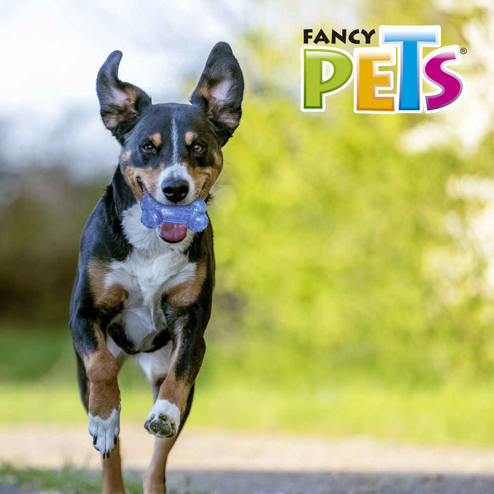 Juguete Hueso con sonido Juguete Hueso con sonido