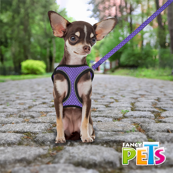 Arnés Morado  con tira reflejante y correa Arnés Morado  con tira reflejante y correa