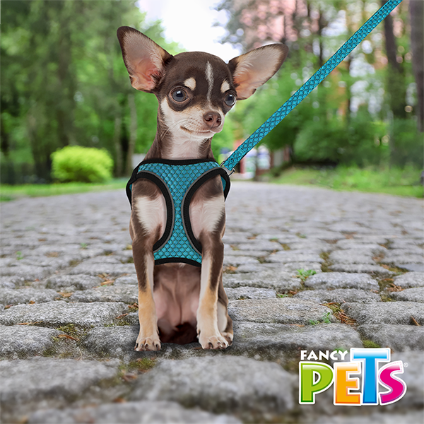 Arnés Azul aqua  con tira reflejante y correa Arnés Azul aqua  con tira reflejante y correa