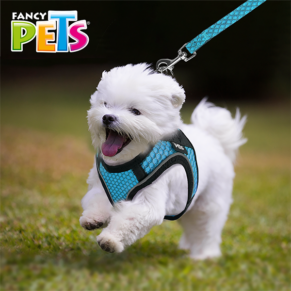 Arnés Azul aqua  con tira reflejante y correa Arnés Azul aqua  con tira reflejante y correa